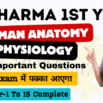 Human Anatomy and Physiology Most important questions | hap d pharma 1st year important questionsnoteskarts,human anatomy and physiology chapter-1 important important questions,hap important questions for d.pharma exam,d pharma 1st year important mcq,human anatomy and physiology mcq,hap model paper,hap video lecture,human anatomy and physiology video lecture,important mcq for dpharma exam,hap important question d pharmacy 1st year pdf,Hap hap d pharma 1st year important questions pdf download,Hap hap d pharma 1st year important questions pdf,hap d pharma 1st year important questions and answers